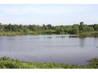Property photo 11 - Creek County - Oklahoma Land Auction, 1,107 Acres 2 Tracts